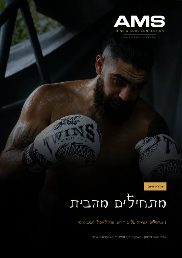 עמוד השער של המדריך למתחילים